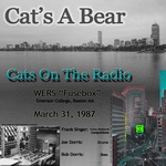 Cats On The Radio