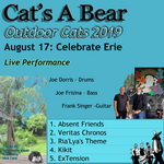 Outdoor Cats 2019: Trio