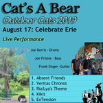 Outdoor Cats 2019